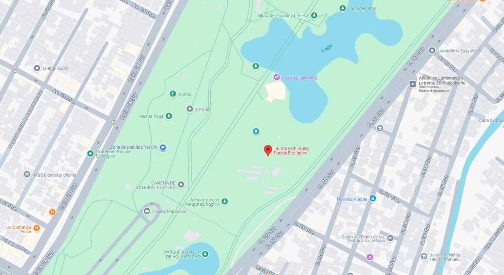 Clases de Tai Chi y Chi Kung en el Parque Ecológico de Puebla