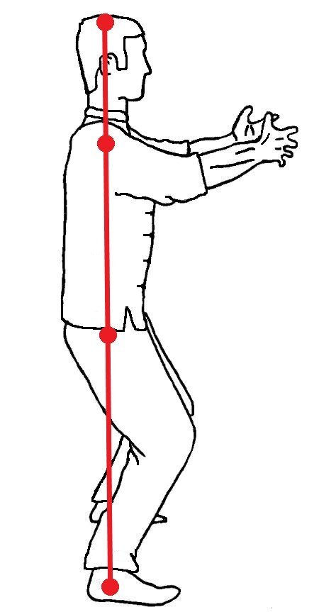 Practica de la estructura interna del Taichi a través de Zhan Zhuang