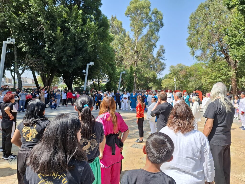Dia Internacional Tai Chi en Puebla