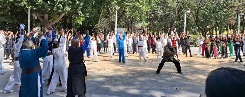 Dia Internacional Tai Chi en Puebla