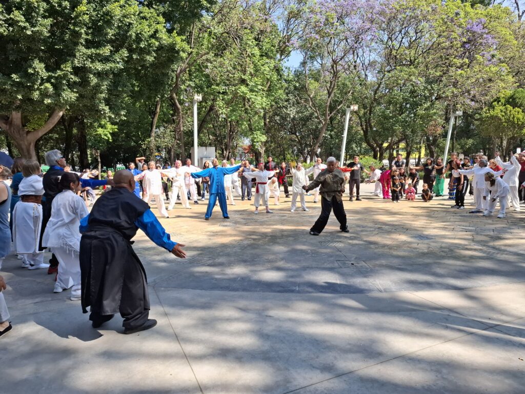 Dia Internacional Tai Chi en Puebla