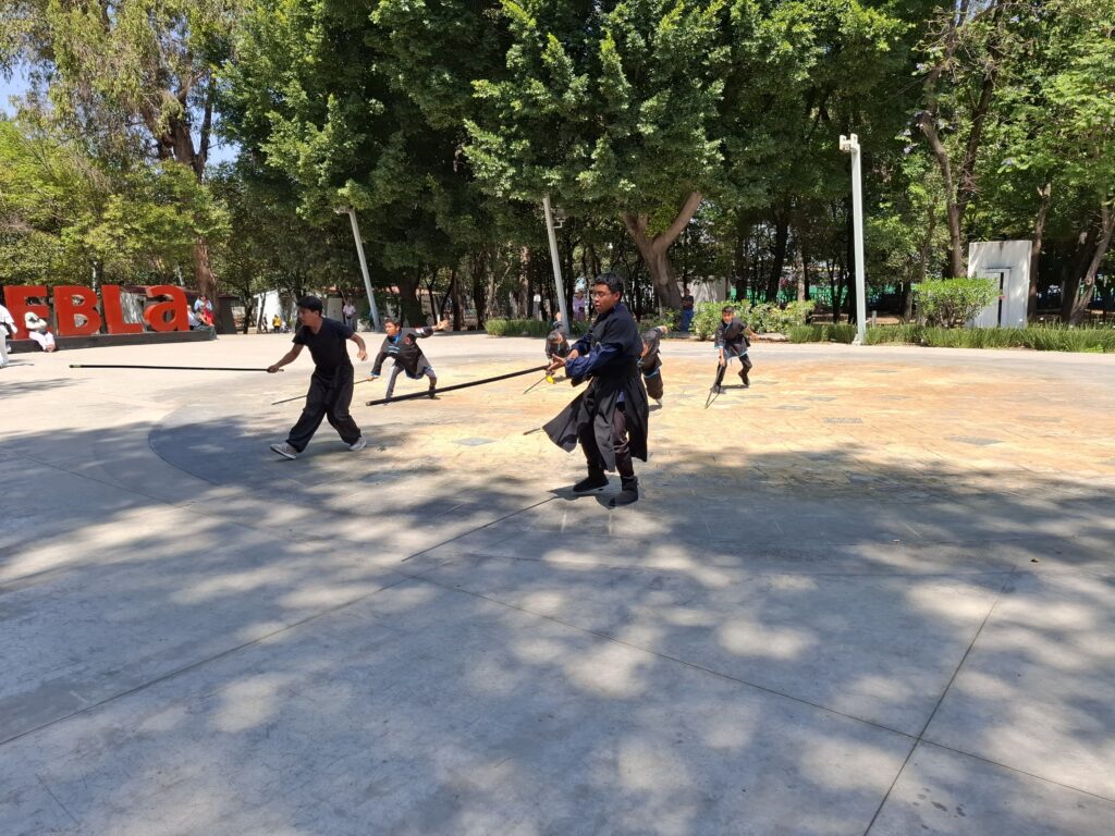 Dia Internacional Tai Chi en Puebla