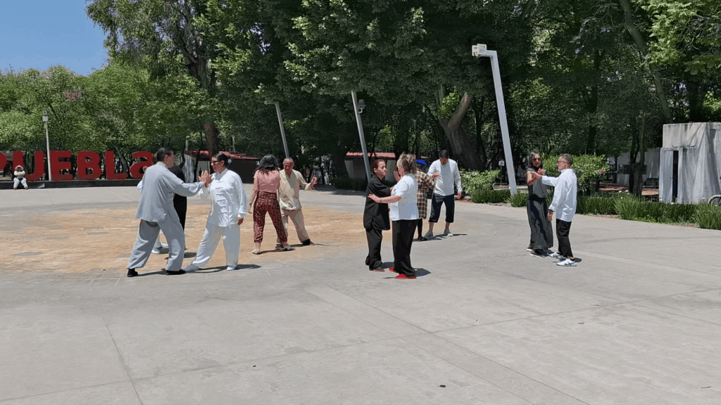 Dia Internacional del Tai Chi en Puebla 2026