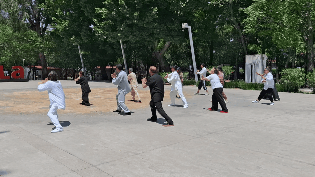 Dia Internacional del Tai Chi en Puebla 2026