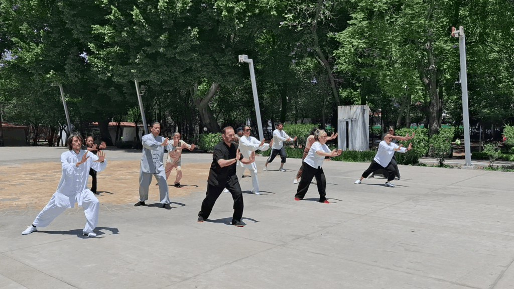 Dia Internacional del Tai Chi en Puebla 2026