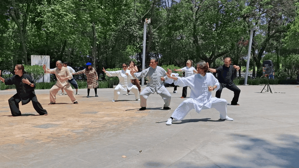 Dia Internacional del Tai Chi en Puebla